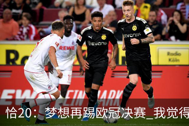 恰20：梦想再踢欧冠决赛 我觉得退役后我能当土耳其足协主席